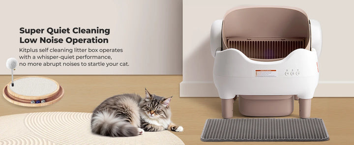 EverestPaw® Self Cleaning Litter Box